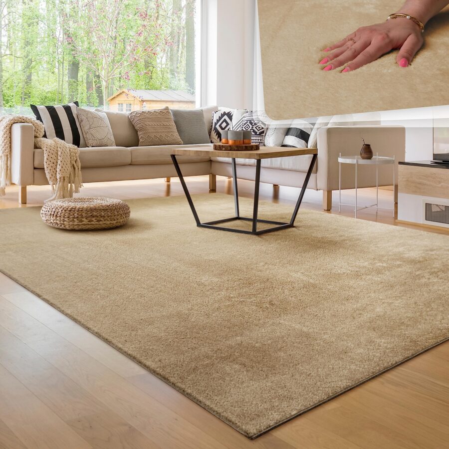 Alfombra para la Sala de Estar Unicolor 200x280 cm (Color: Beige)